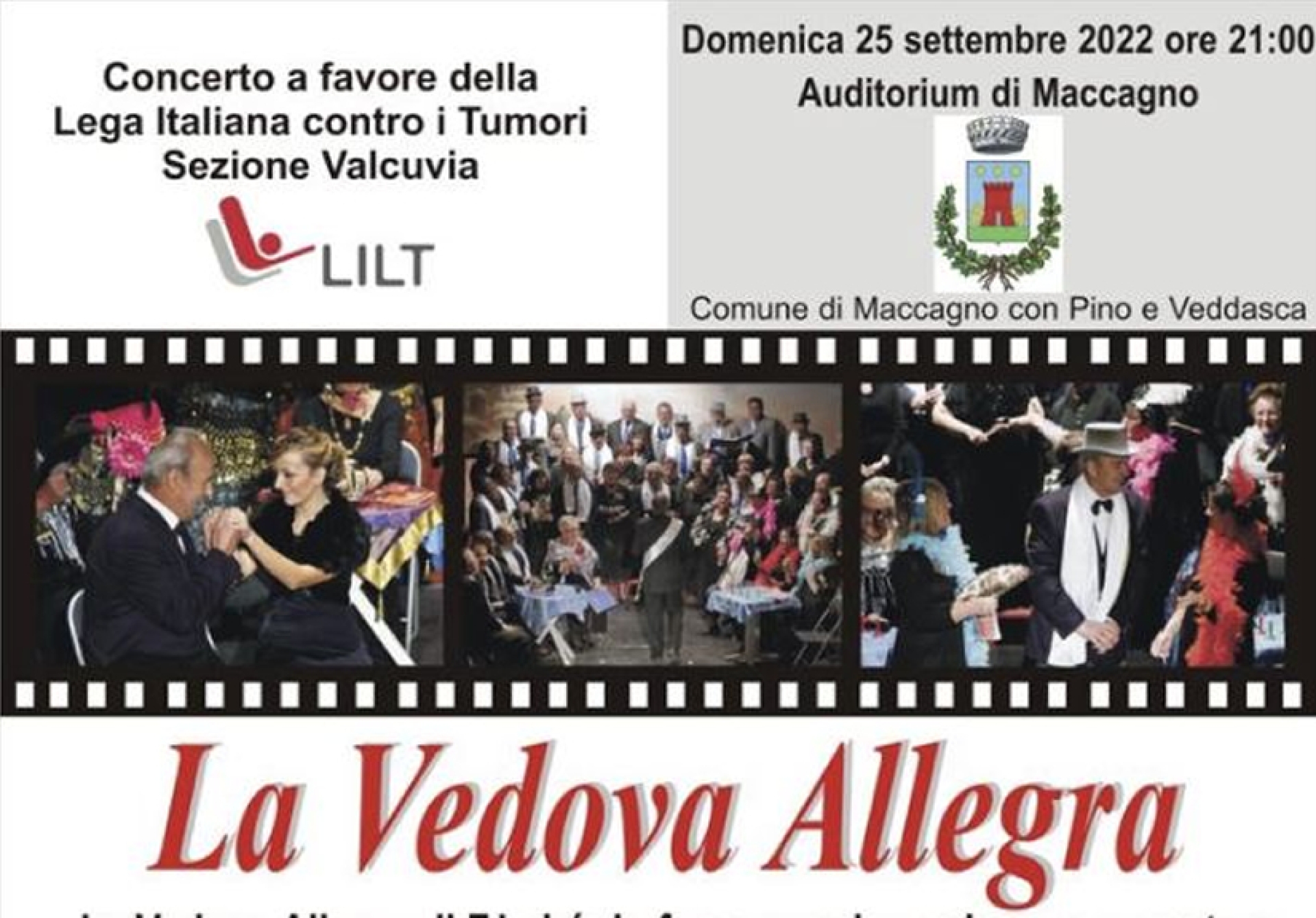 La vedova allegra - Concerto a favore della Lega Italiana contro i Tumori