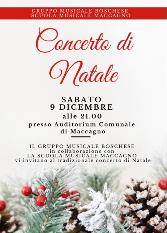 Concerto_Gruppo_e_Scuola_musicale