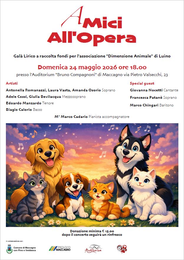 amici all'opera